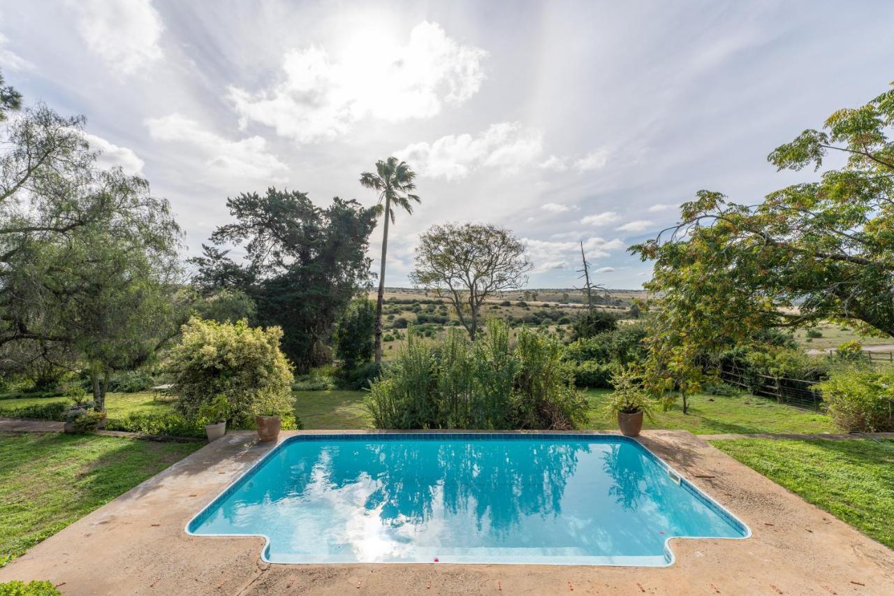 Tygerfontein Safari Villa Amakhala Doğa Koruma Alanı Dış mekan fotoğraf